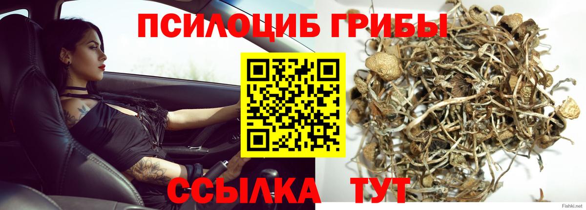 Псилоцибиновые грибы Magic Shrooms  Вход с VPN  Мирный  Псилоцибиновые грибы Psilocybe 